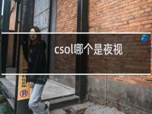 csol哪个是夜视