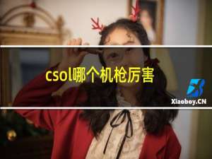 csol哪个机枪厉害