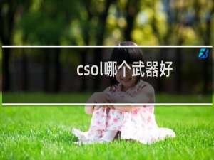 csol哪个武器好
