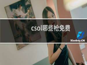 csol哪些枪免费