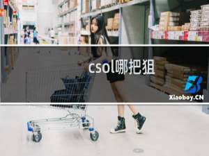 csol哪把狙