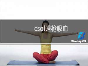 csol啥枪吸血