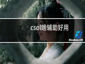 csol啥辅助好用