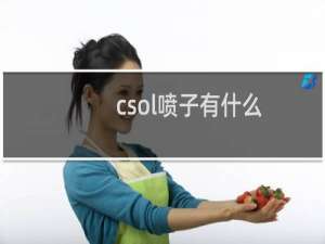 csol喷子有什么