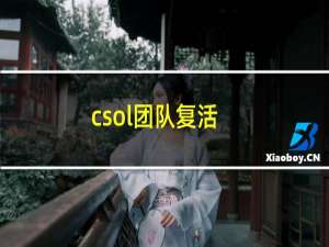 csol团队复活