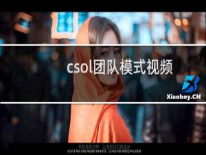 csol团队模式视频