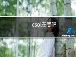 csol在变吧