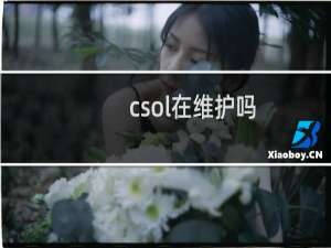 csol在维护吗