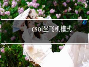 csol坐飞机模式