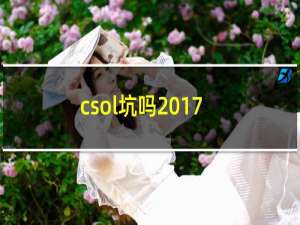 csol坑吗2017