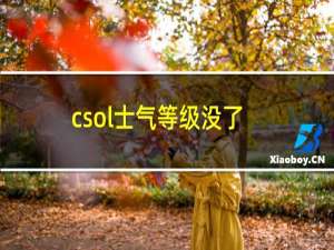 csol士气等级没了