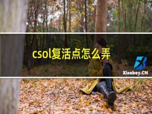 csol复活点怎么弄