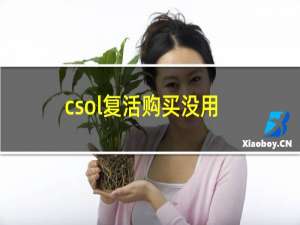 csol复活购买没用