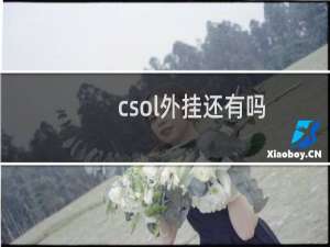 csol外挂还有吗