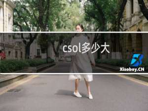 csol多少大