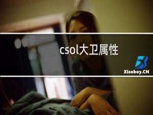 csol大卫属性