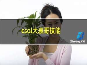 csol大表哥技能