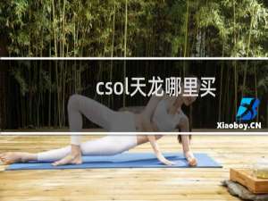 csol天龙哪里买