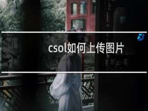 csol如何上传图片
