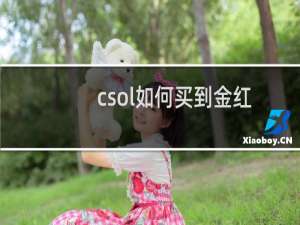 csol如何买到金红