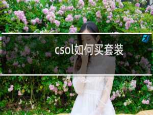 csol如何买套装