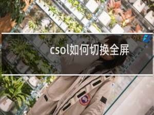 csol如何切换全屏