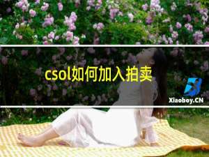 csol如何加入拍卖