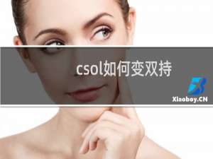 csol如何变双持