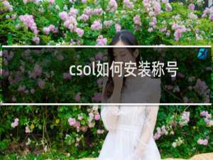 csol如何安装称号