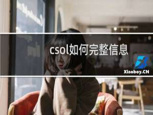 csol如何完整信息