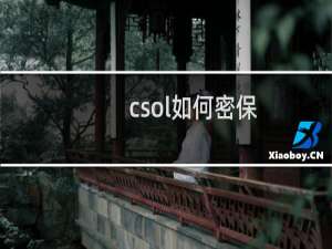 csol如何密保
