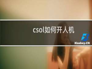 csol如何开人机