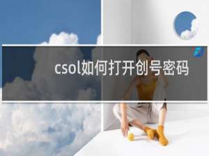 csol如何打开创号密码