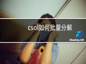 csol如何批量分解