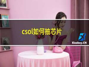 csol如何抽芯片