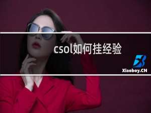 csol如何挂经验