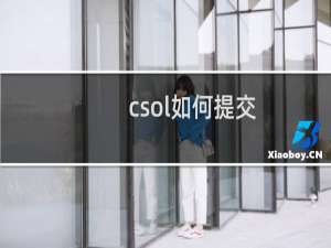 csol如何提交