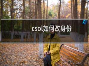 csol如何改身份