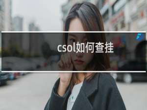 csol如何查挂
