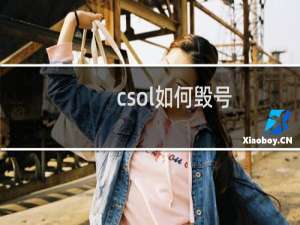 csol如何毁号
