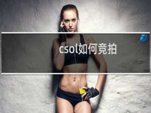 csol如何竞拍