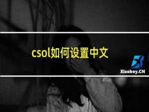 csol如何设置中文