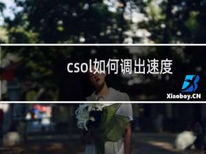 csol如何调出速度