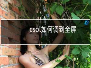csol如何调到全屏