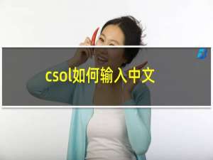 csol如何输入中文