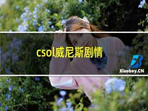 csol威尼斯剧情