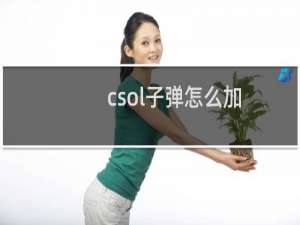 csol子弹怎么加