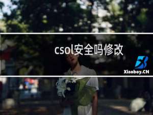 csol安全吗修改