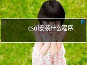 csol安装什么程序