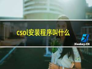 csol安装程序叫什么
